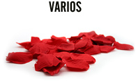 Clic para acceder al Cat�logo de VARIOS